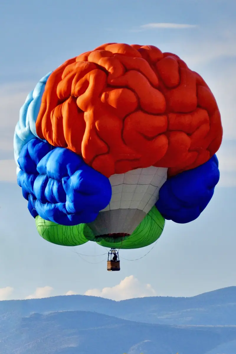 Brain Hot Air Balloon Montana