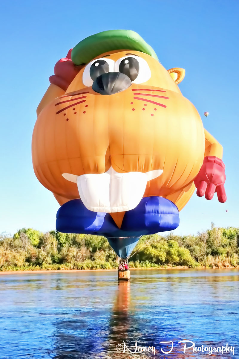 Bud E Beaver Shaped Hot Air Balloon